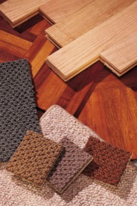 different kinds of wood samples