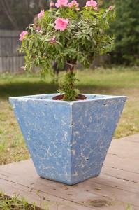 beautiful concrete planter for outdoor use